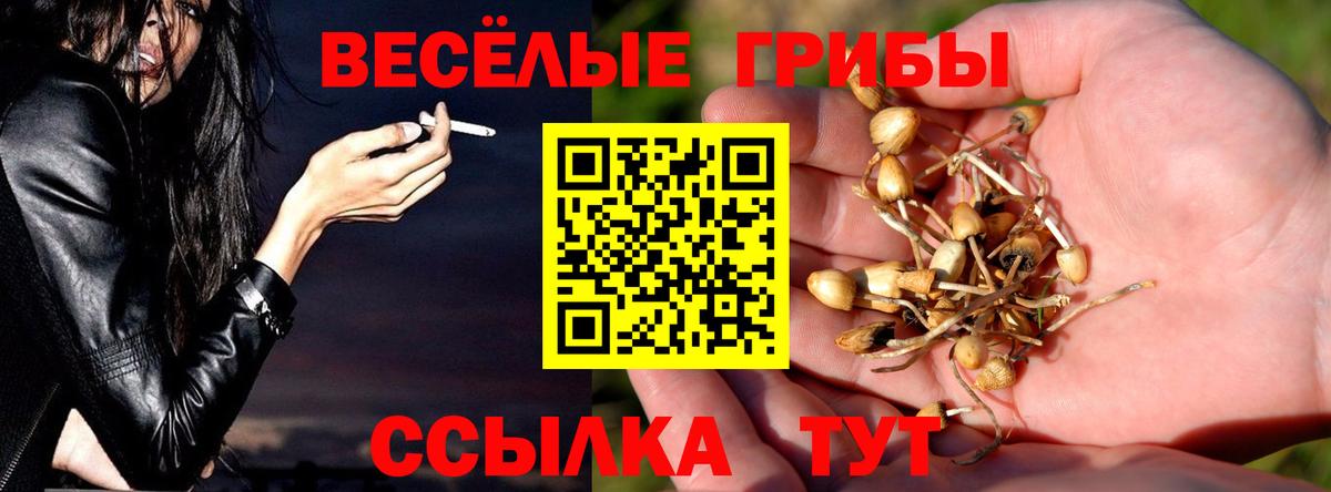 Псилоцибиновые грибы прущие грибы  Вход с VPN  Оренбург 